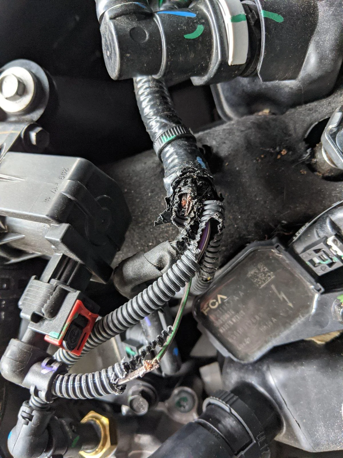 Jeep Wrangler JL Rats! IMG_20191123_132745