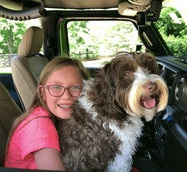 Jeep Wrangler JL Jeep Dog pics Screen Shot 2019-11-30 at 1.04.32 PM