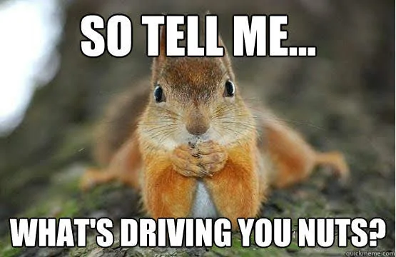 Jeep Wrangler JL Everyone hates me...... whats-driving-you-nuts-squirrel-mem