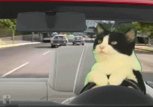 giphy.gif?cid=790b7611a6050491d65ef69f01afa01d1131074d84353ff7&rid=giphy.gif