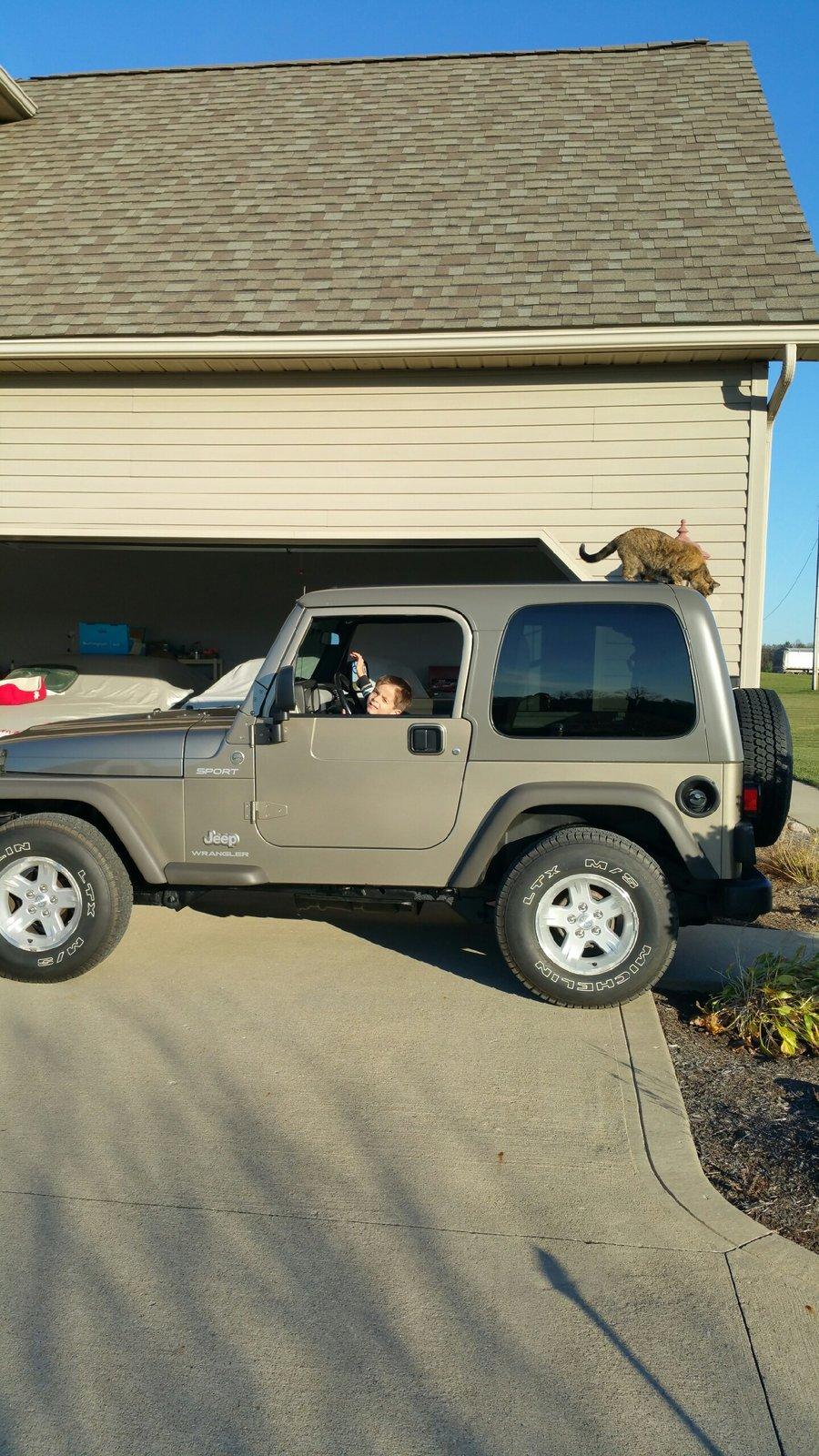 Jeep Wrangler JL Cat Problems CA05BFE5-AC5F-4DA1-B392-44E52C18BB0F