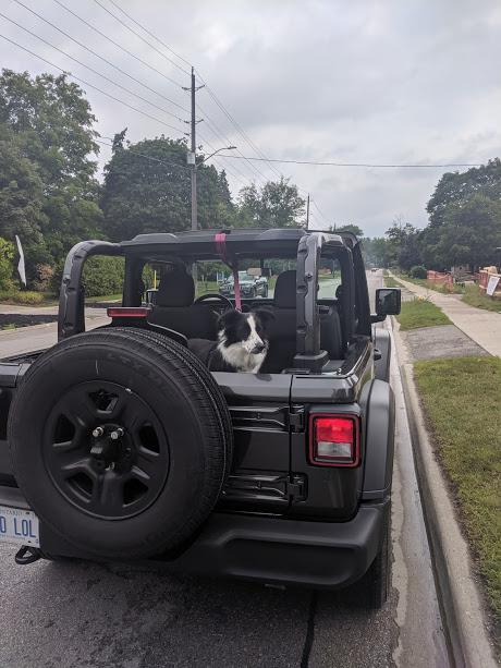 Jeep Wrangler JL Jeep Dog pics Jeep and Birdie