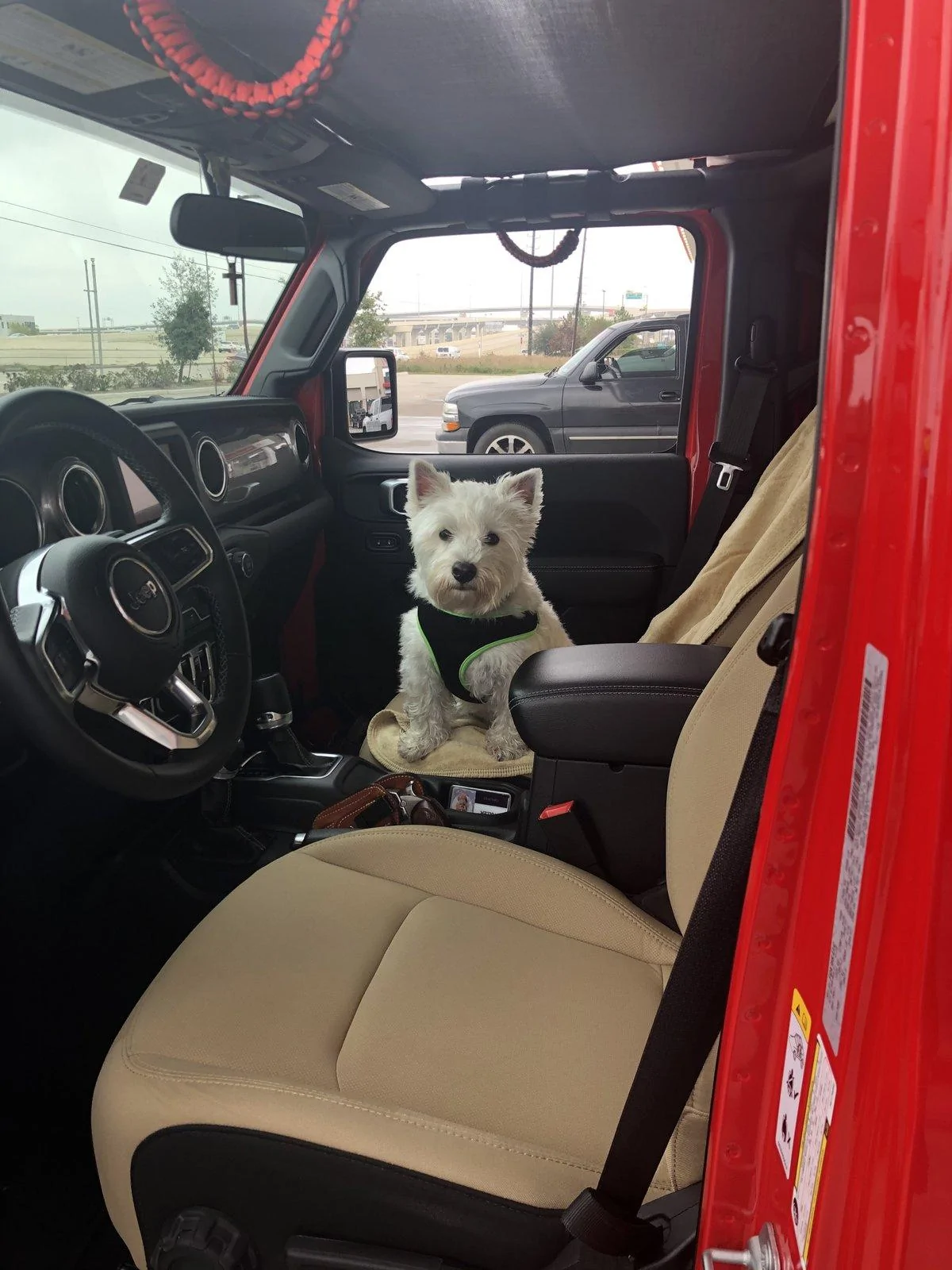 Jeep Wrangler JL Jeep Dog pics 6CC37EF5-1B7A-46F1-98D8-42156EA9EABC