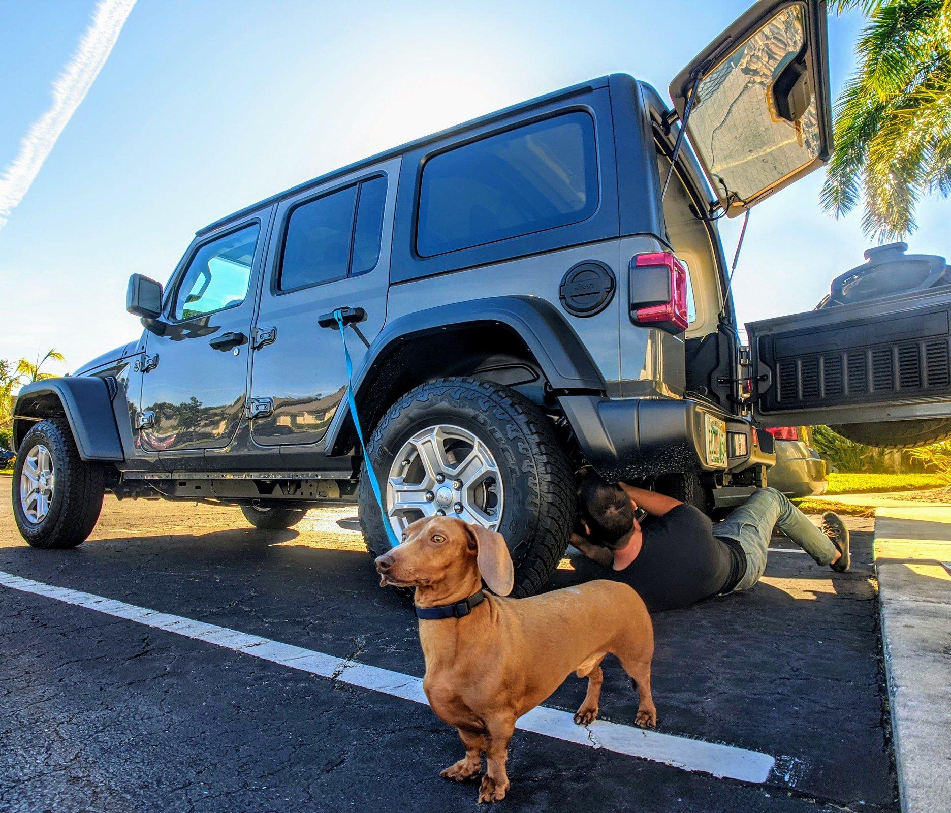 Jeep Wrangler JL Jeep Dog pics IMG_20191206_100213_MP