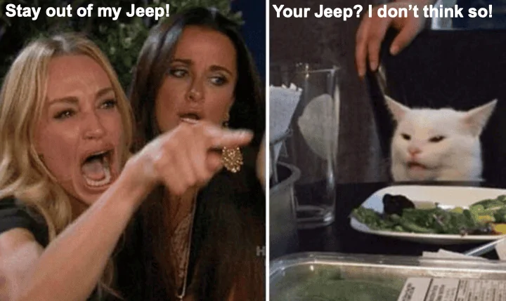 Jeep Wrangler JL Cat Problems cat