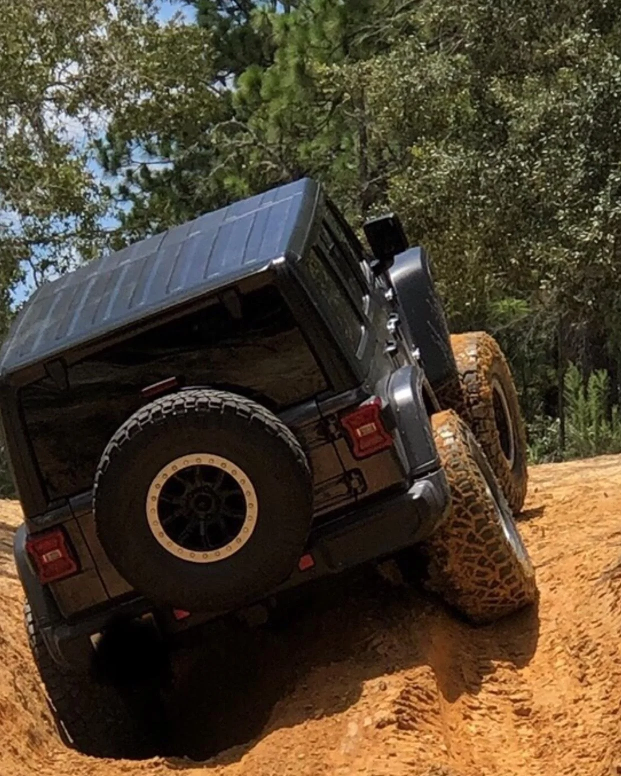 Jeep Wrangler JL Florida Roll Call! A3D36D05-3581-4D1A-87F1-65BE16702551