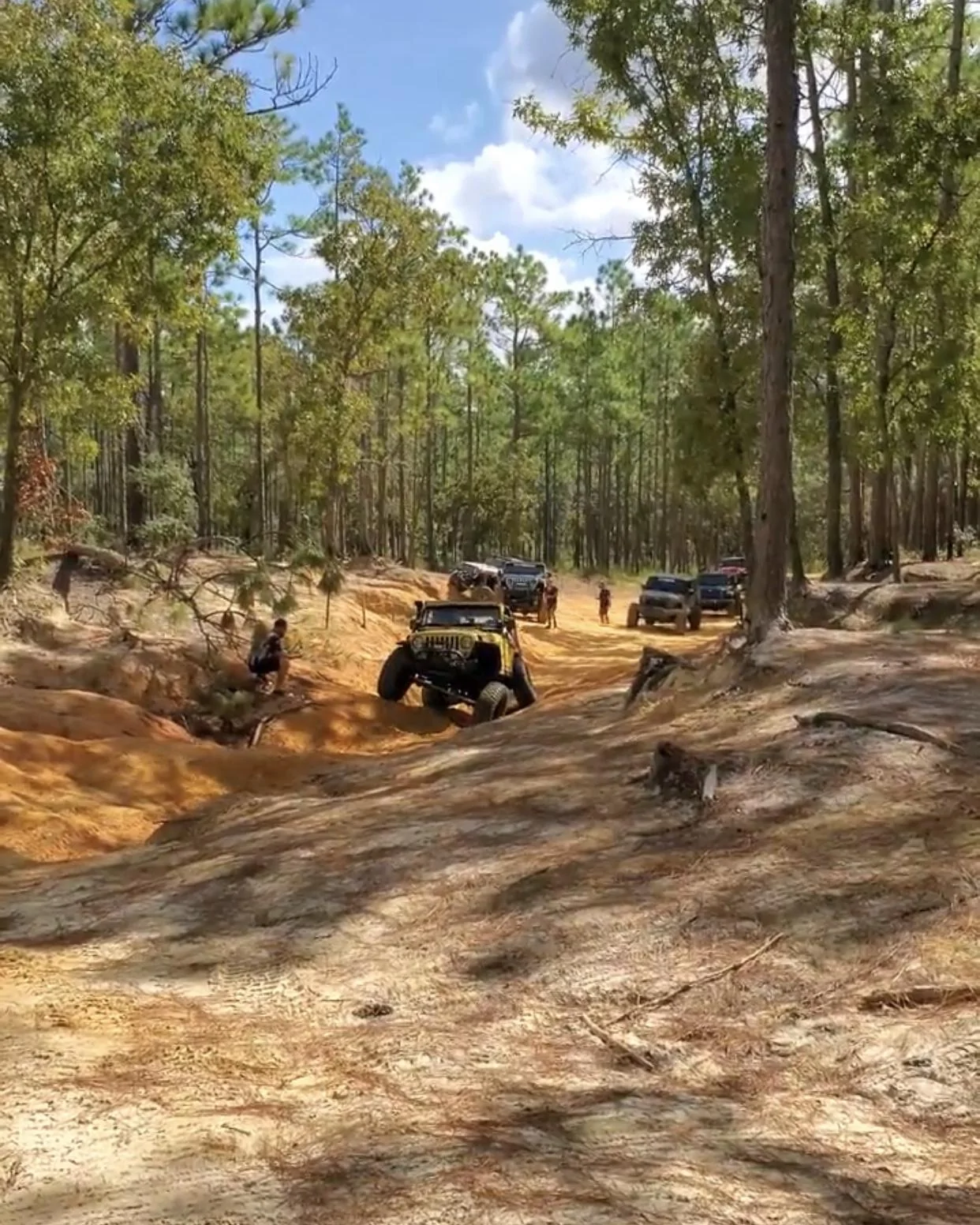 Jeep Wrangler JL Florida Roll Call! 65E11050-2824-4FC9-8CBD-D929F6AD6D8F