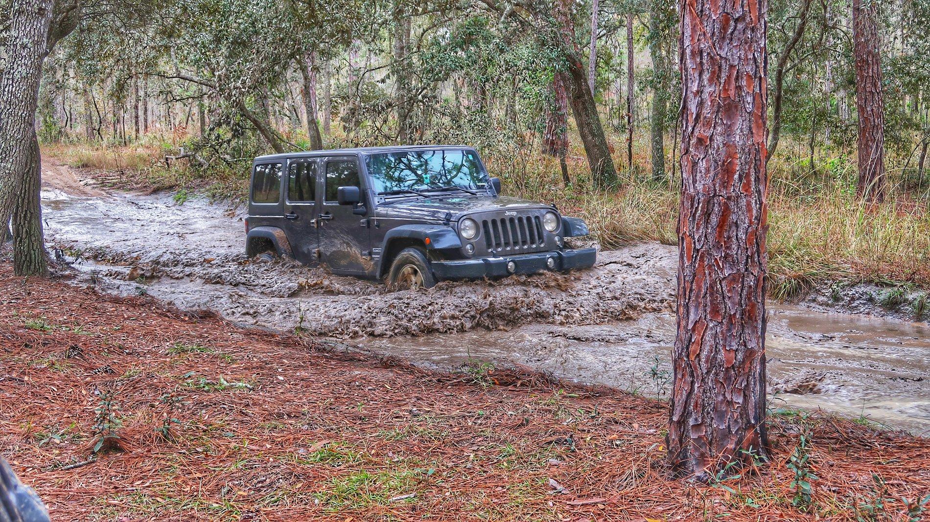 Jeep Wrangler JL Florida Roll Call! 48CD5533-96DA-4A50-82E9-45766260234B