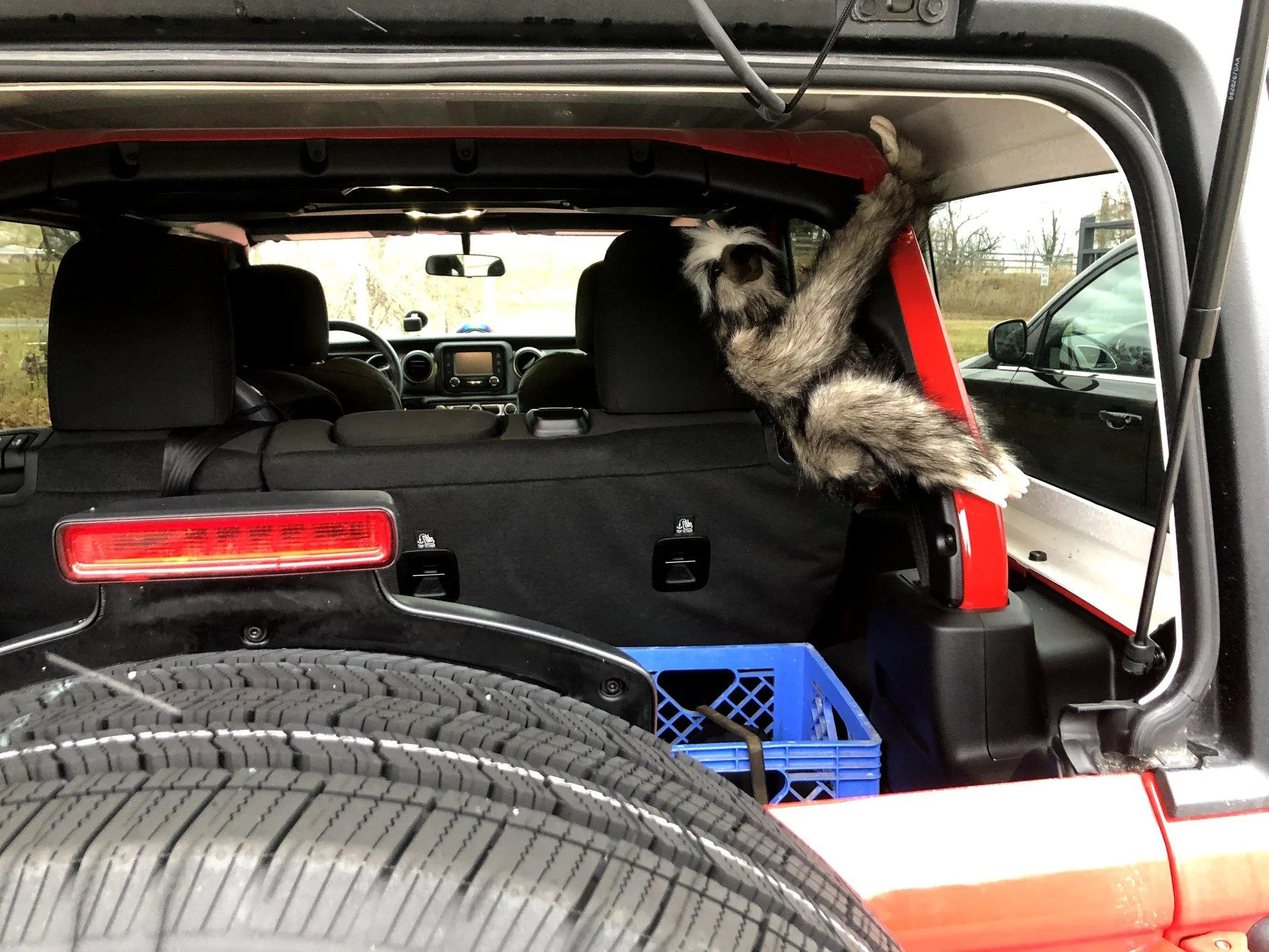 Jeep Wrangler JL Anyone else have a mascot? IMG_0630