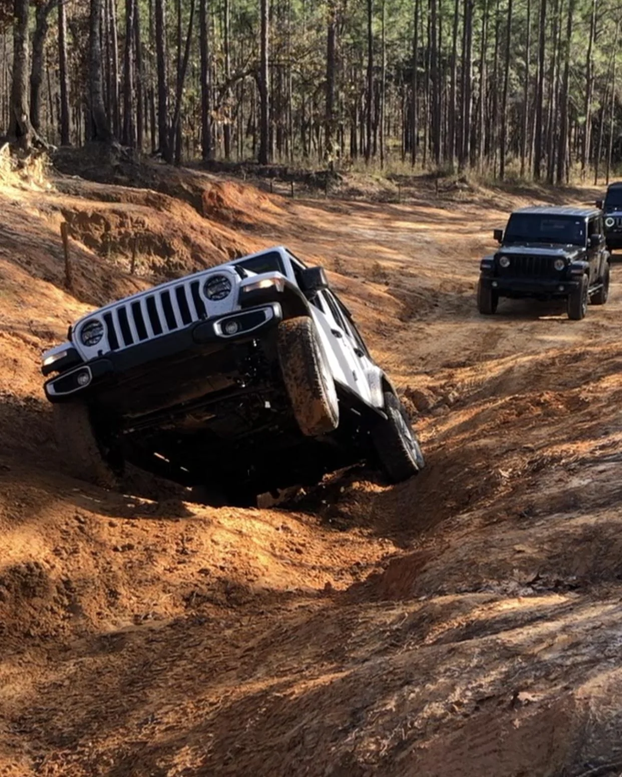 Jeep Wrangler JL Post up your Jeep life! 280E720F-3865-4AEF-A44C-058BE0396FF1
