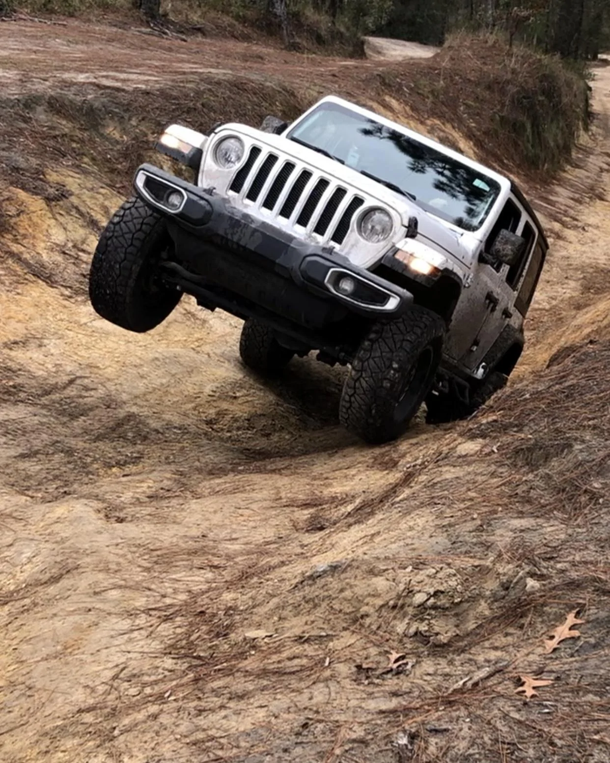 Jeep Wrangler JL Post up your Jeep life! D95F4075-A313-4379-BFCD-58C1292D92EF