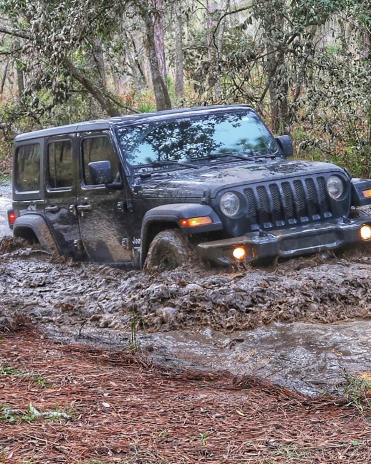 Jeep Wrangler JL Post up your Jeep life! F923E0D4-5141-4CB5-AE62-963809C22D60