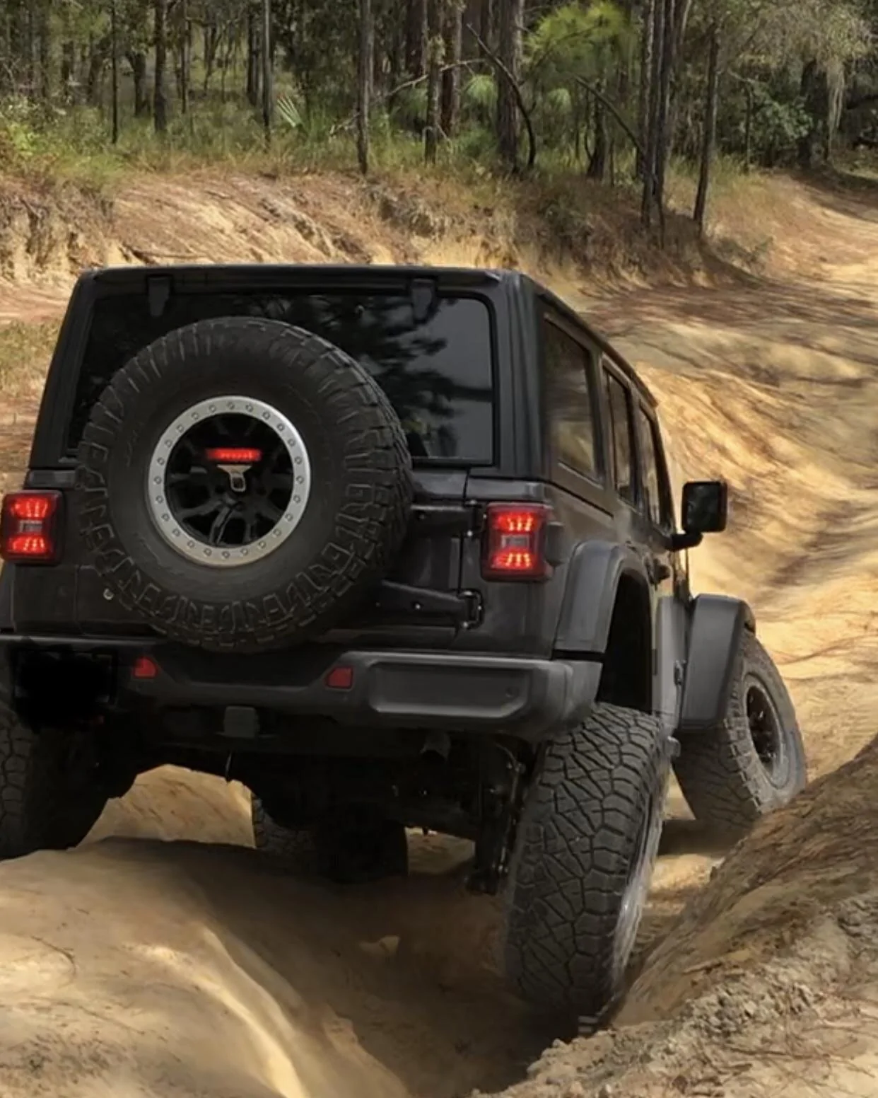 Jeep Wrangler JL Tire carrier update? C7216578-3EB4-4F22-8675-9EAC243A27B6