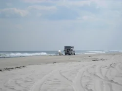 Jeep Wrangler JL Beach driving thumb_driv