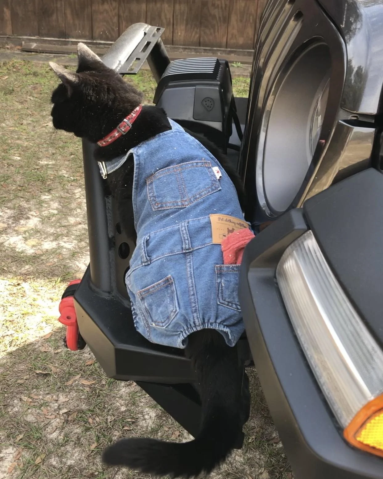 Jeep Wrangler JL Florida Roll Call! F53991F6-240B-40D2-B114-7A2C43C14A6F