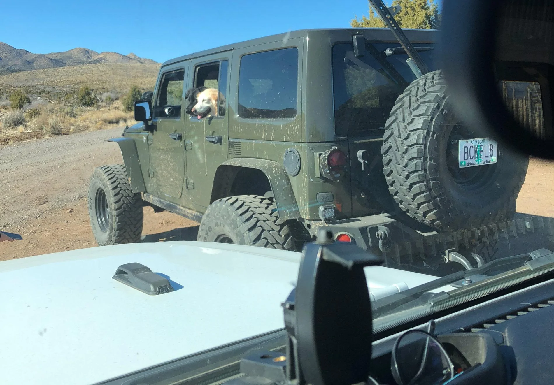 Jeep Wrangler JL Lets see those personalized plates!!! 925A88C7-FD93-49B9-BB38-F81CFCFF30E0