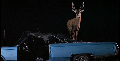 Jeep Wrangler JL Deer Protection tommyboy-deer