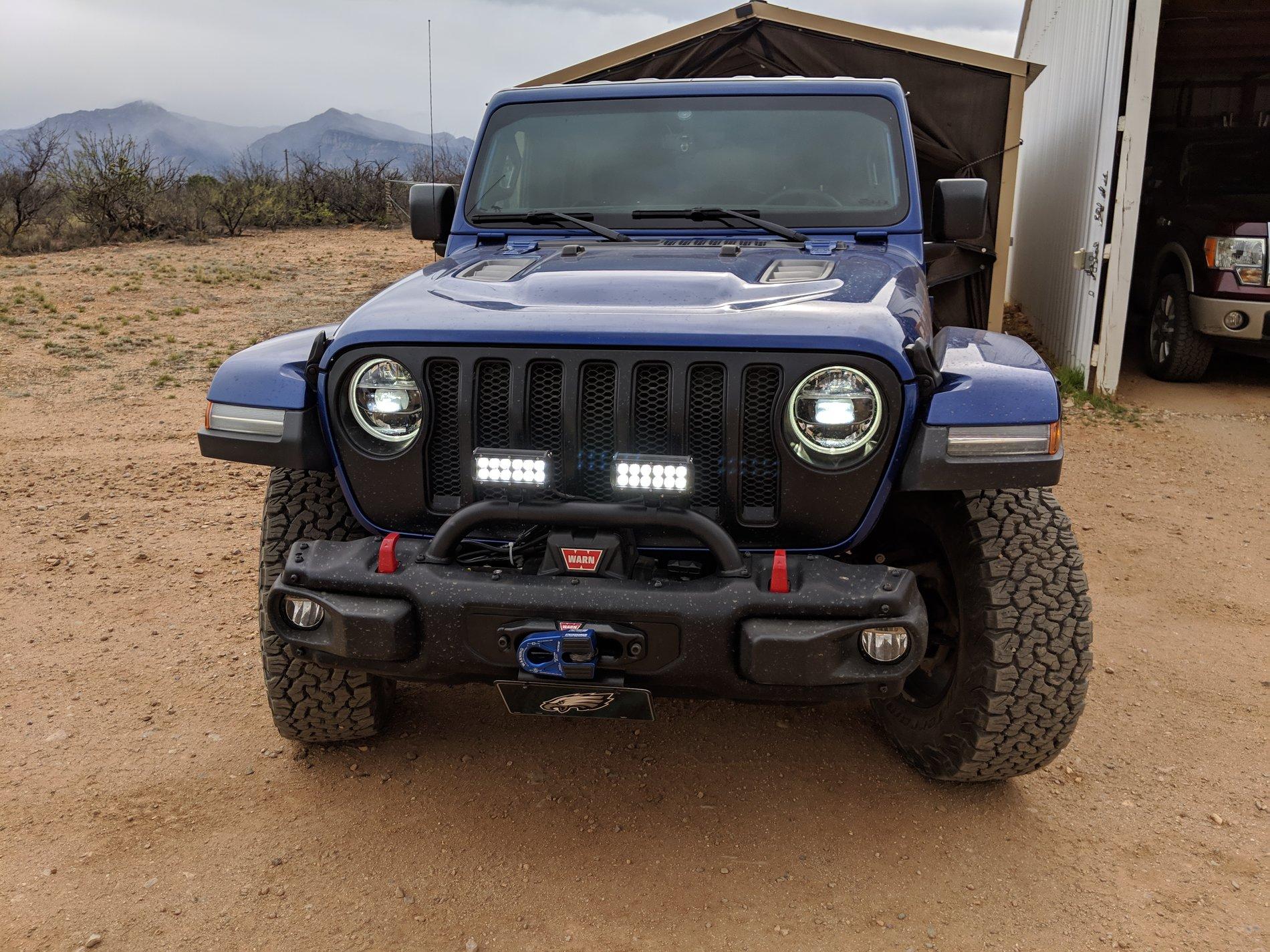 Jeep Wrangler JL Factory or Warn Low Grill Guard MVIMG_20190412_162704