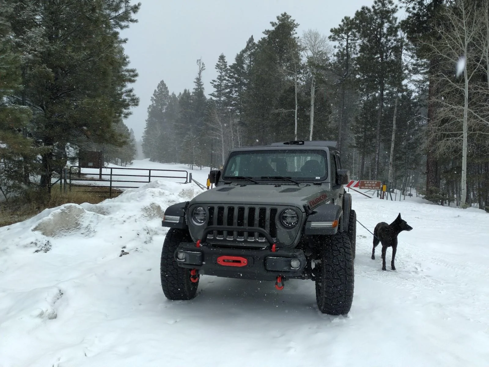 Jeep Wrangler JL Jeep Dog pics jeep1
