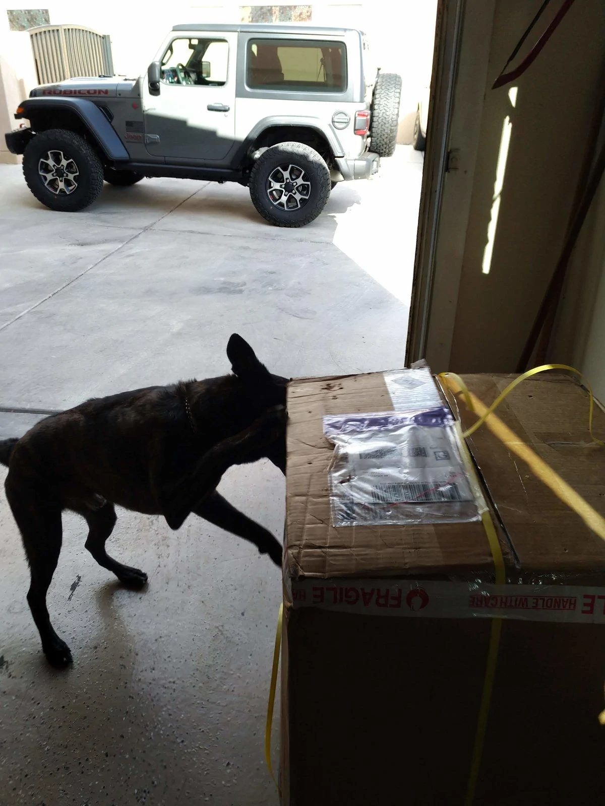 Jeep Wrangler JL Jeep Dog pics Wheels Arrive 