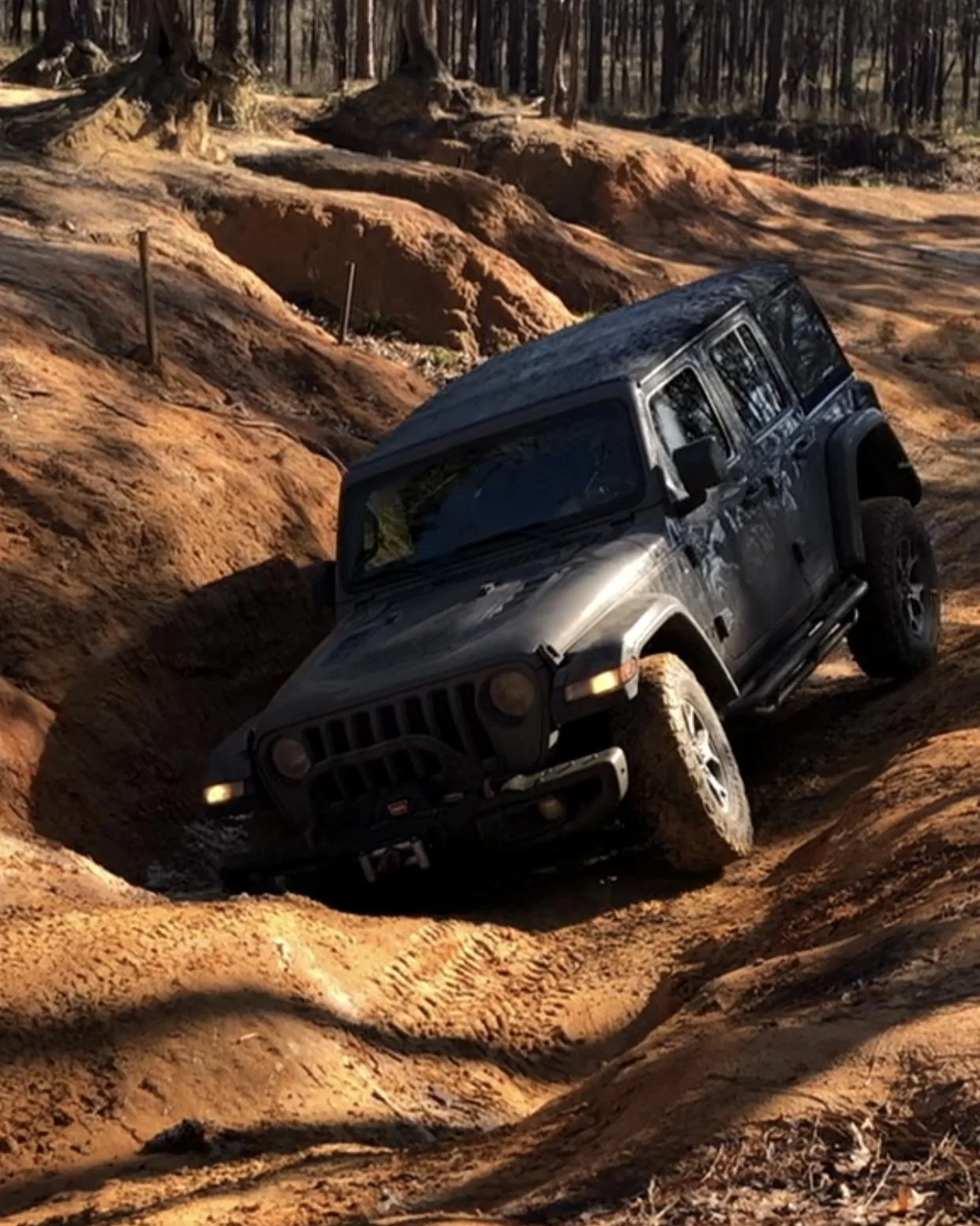 Jeep Wrangler JL Florida Roll Call! A31C3A64-2489-4DCE-87F0-86A2F79B7E9E