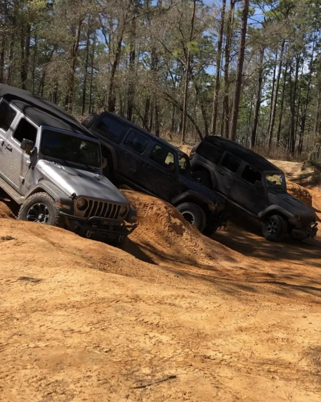 Jeep Wrangler JL Florida Roll Call! 7C871F70-3135-4084-AE40-E4A269E14F5C