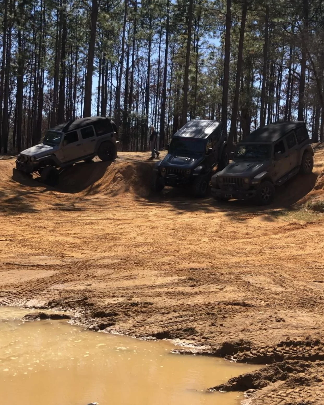 Jeep Wrangler JL Florida Roll Call! A13BB009-2E1C-472D-86D8-1E5EEF47CE3B