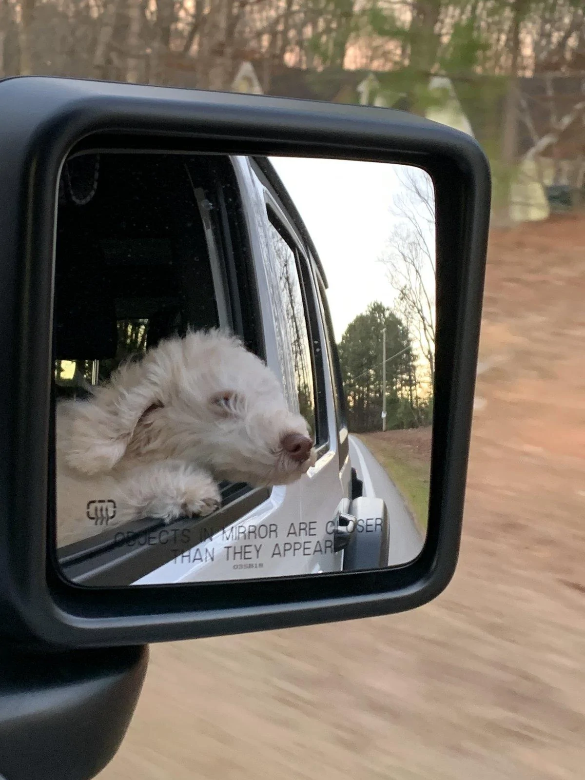 Jeep Wrangler JL Jeep Dog pics FCD878B1-4B0C-4924-80F2-921C4762A1CB