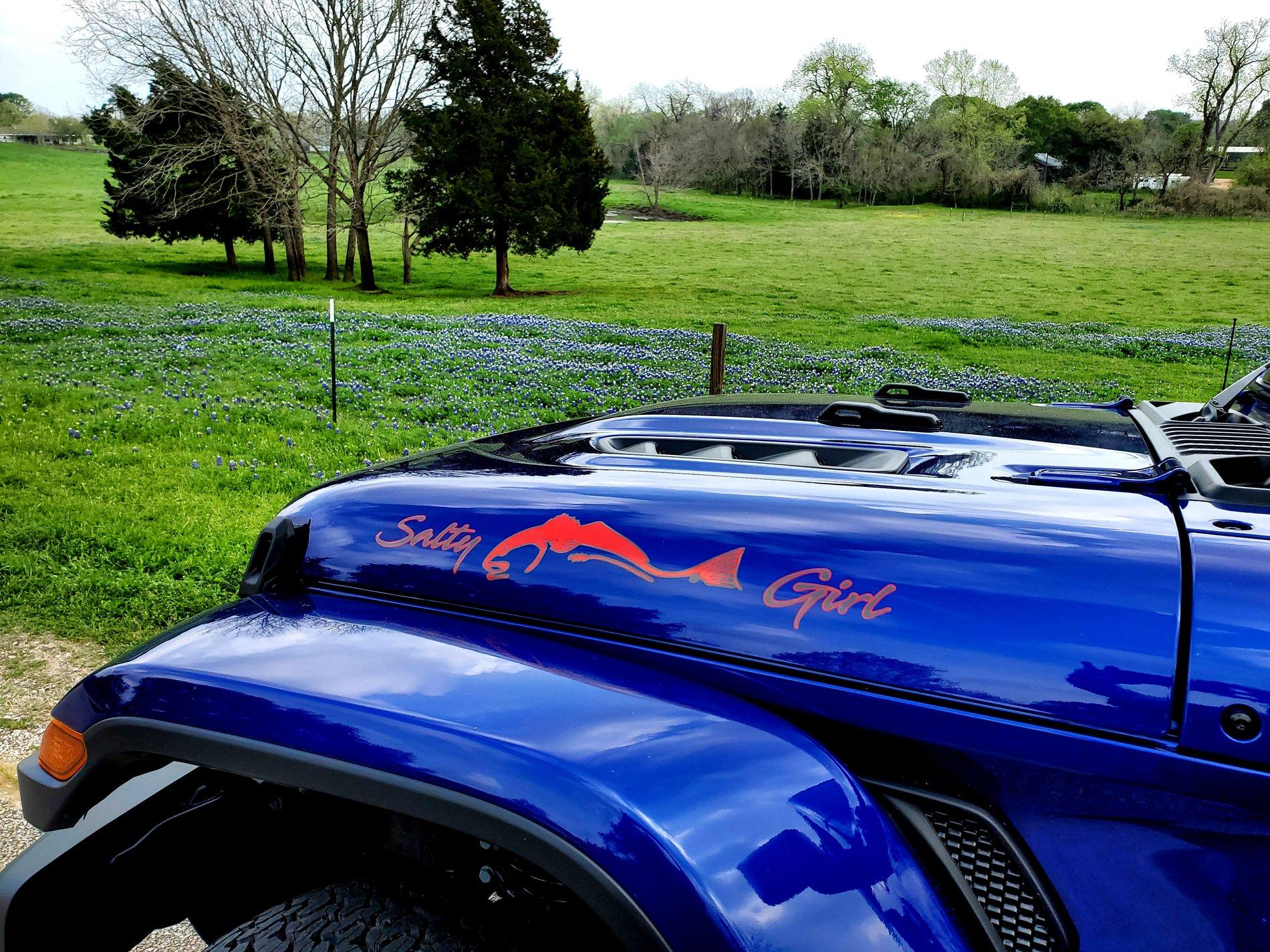 Jeep Wrangler JL 3.0 MODS - Show em off 20200315_151236