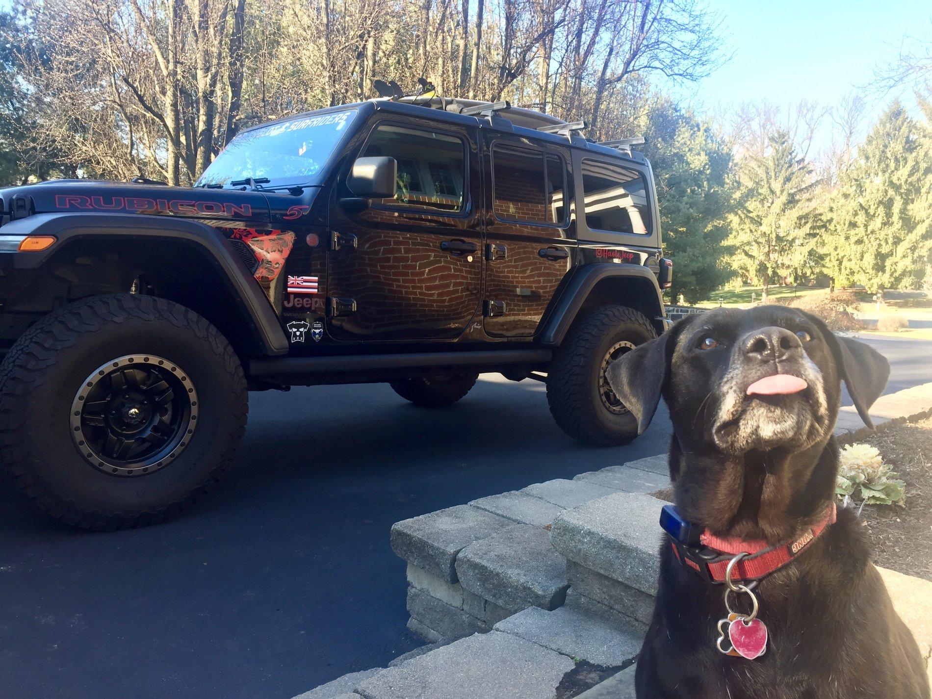 Jeep Wrangler JL Jeep Dog pics IMG_1122
