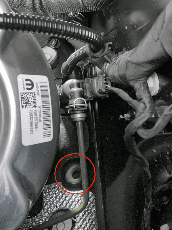 Jeep Wrangler JL Yet another thread about wiring through JL firewall IMG_1378