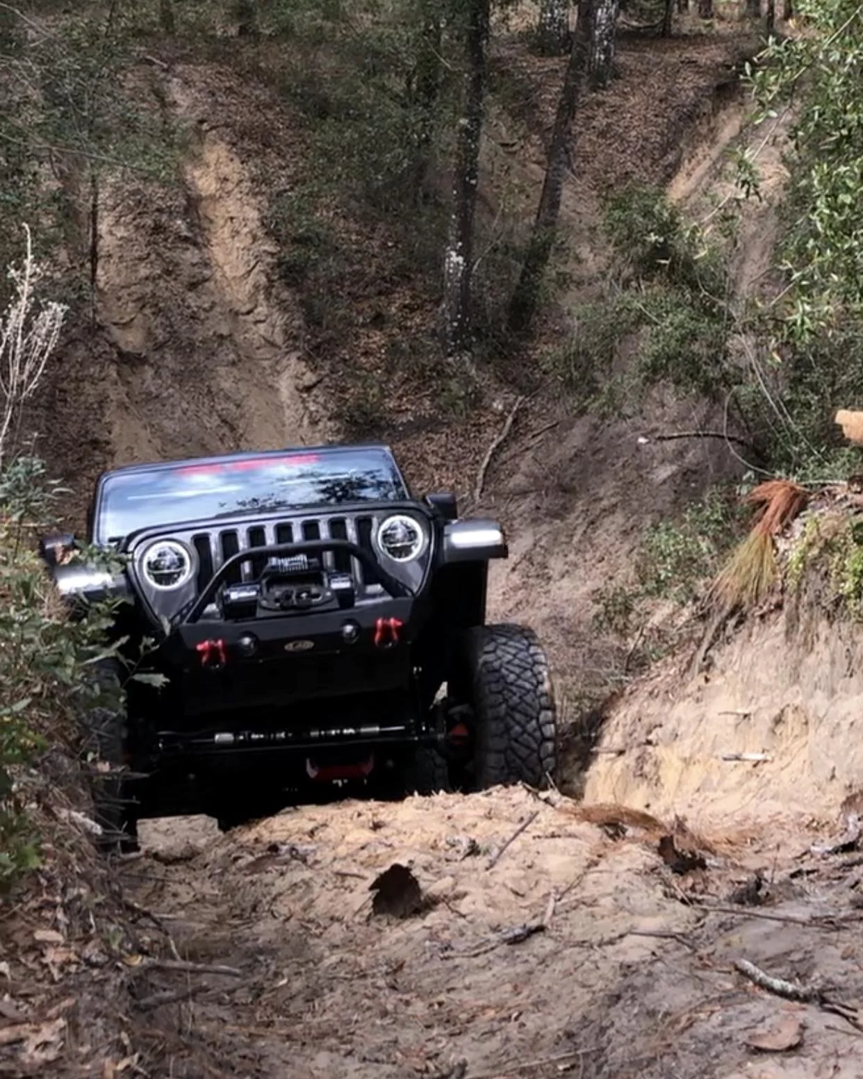 Jeep Wrangler JL Florida Roll Call! FC3CF1C7-6C83-40BB-B6C8-481C855E8661