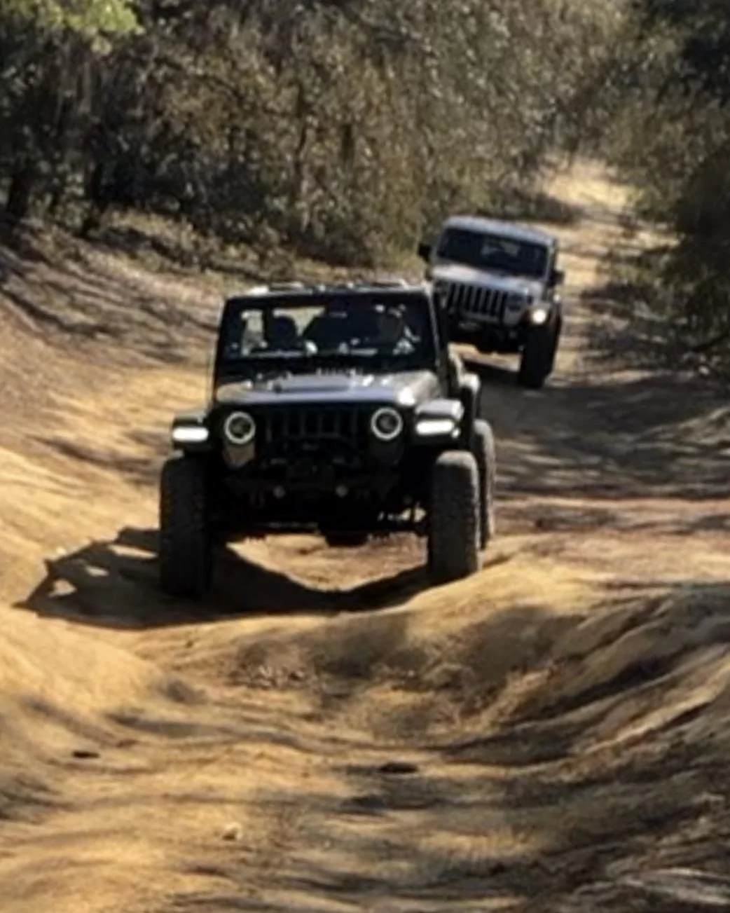 Jeep Wrangler JL Florida Roll Call! 44210019-2A67-4F73-A4AB-8385A192DC38