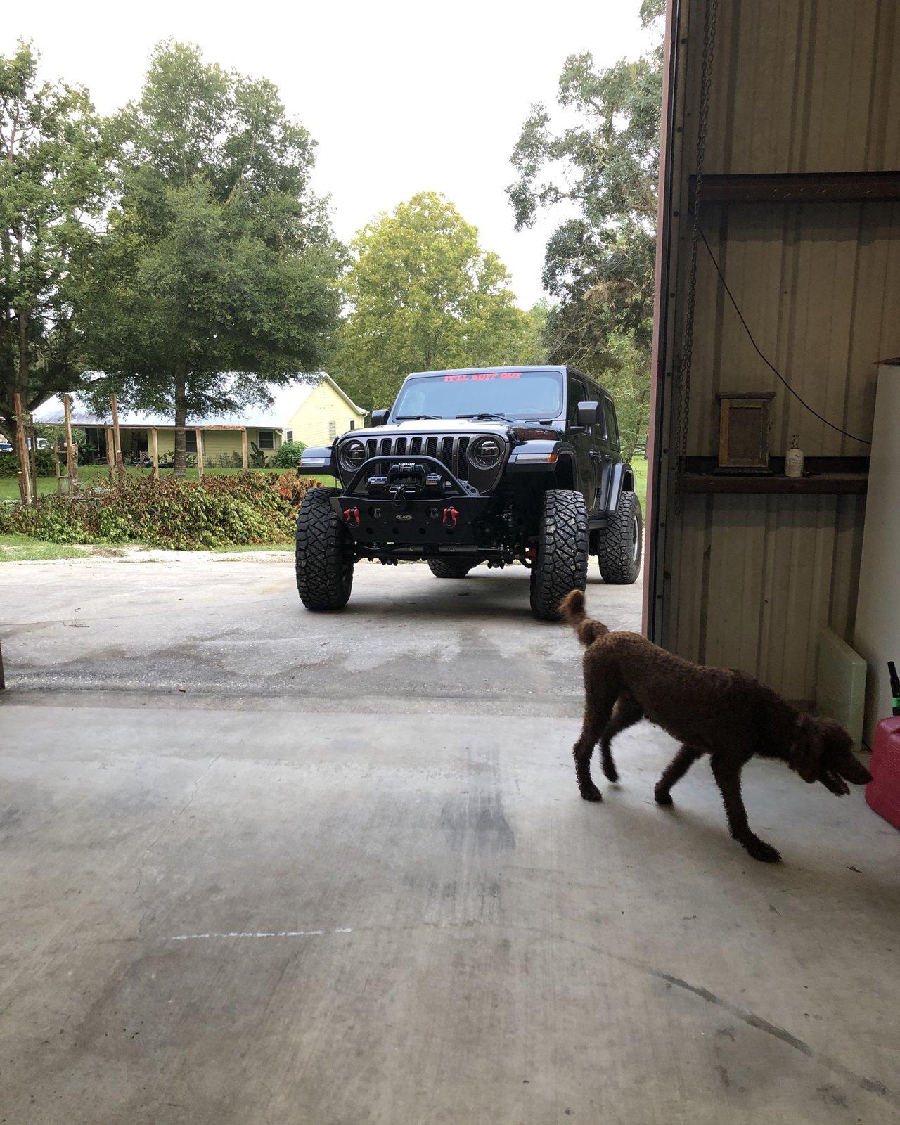 Jeep Wrangler JL Jeep Therapy 6656AC8E-BAF6-4999-9351-B039ABF7578D