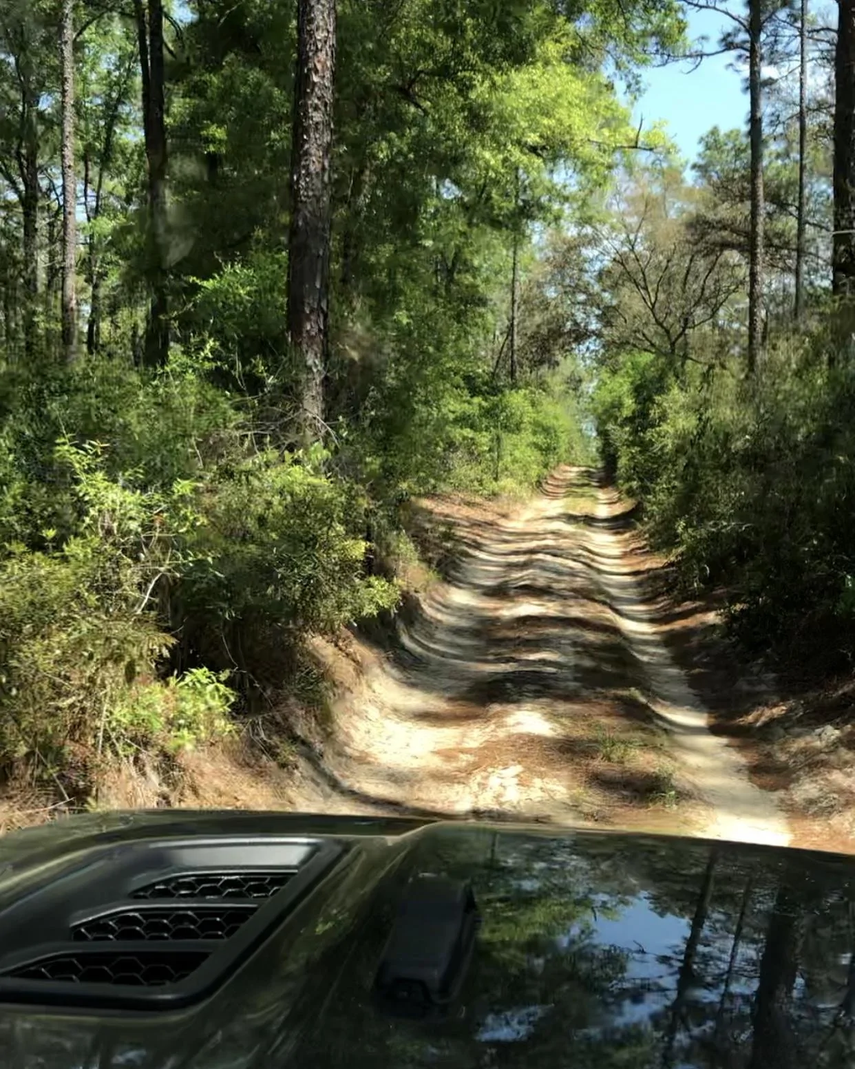 Jeep Wrangler JL Florida Roll Call! EADE221F-B762-453D-B903-1ECAB6B4F303