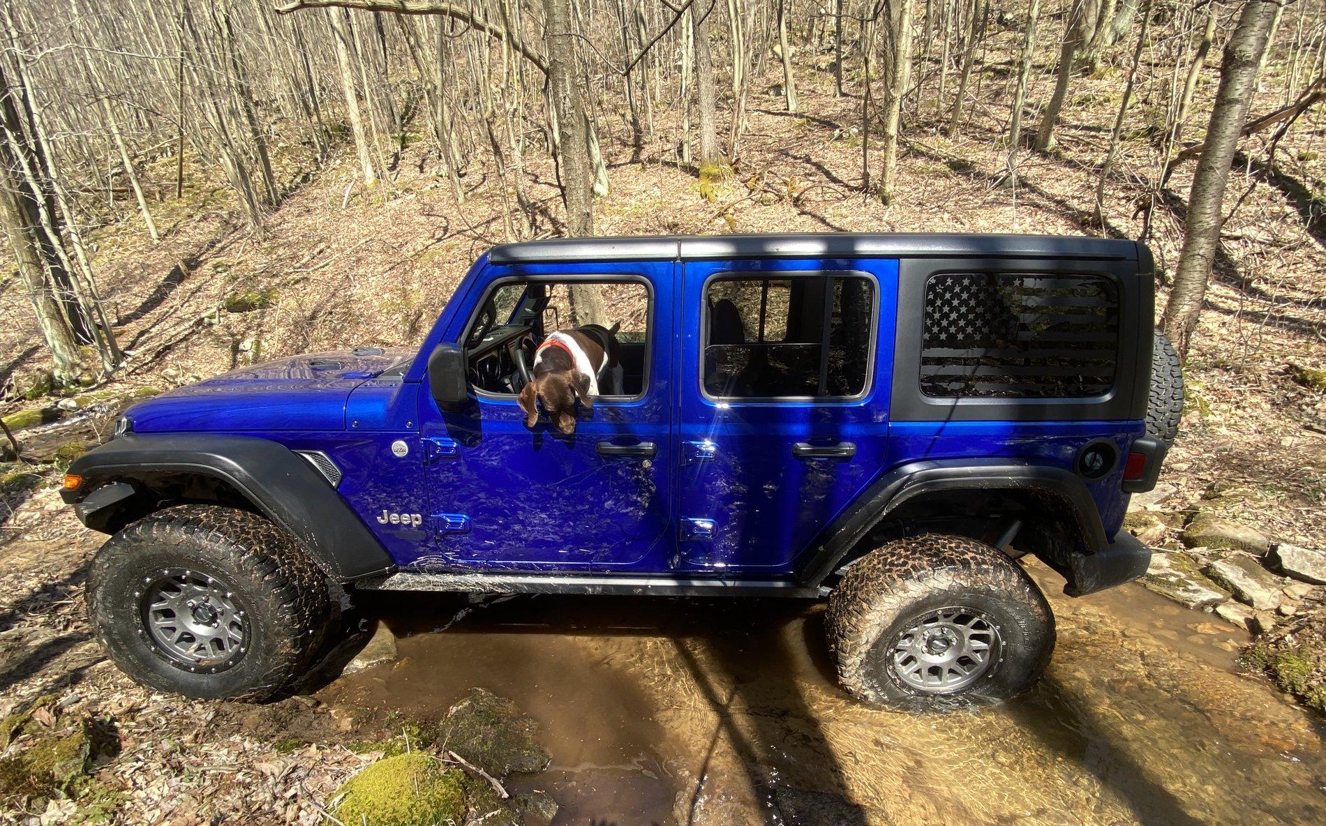 Jeep Wrangler JL Jeep dogs in quarantine. A1E18525-D452-4579-802B-51F1607B833A