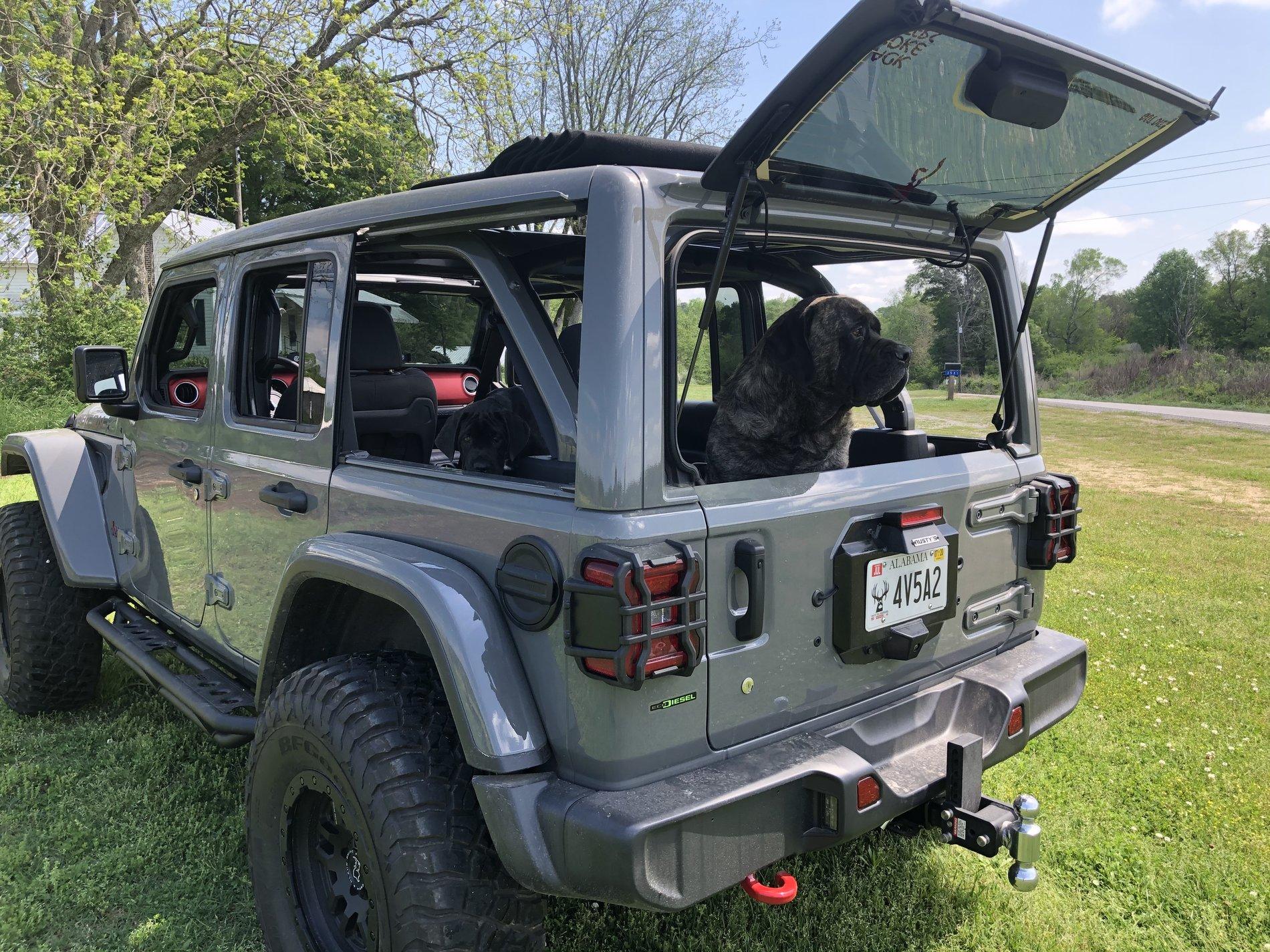Jeep Wrangler JL Jeep dogs in quarantine. 8CAC467C-F88A-4A21-9ECB-C4EA846A858A