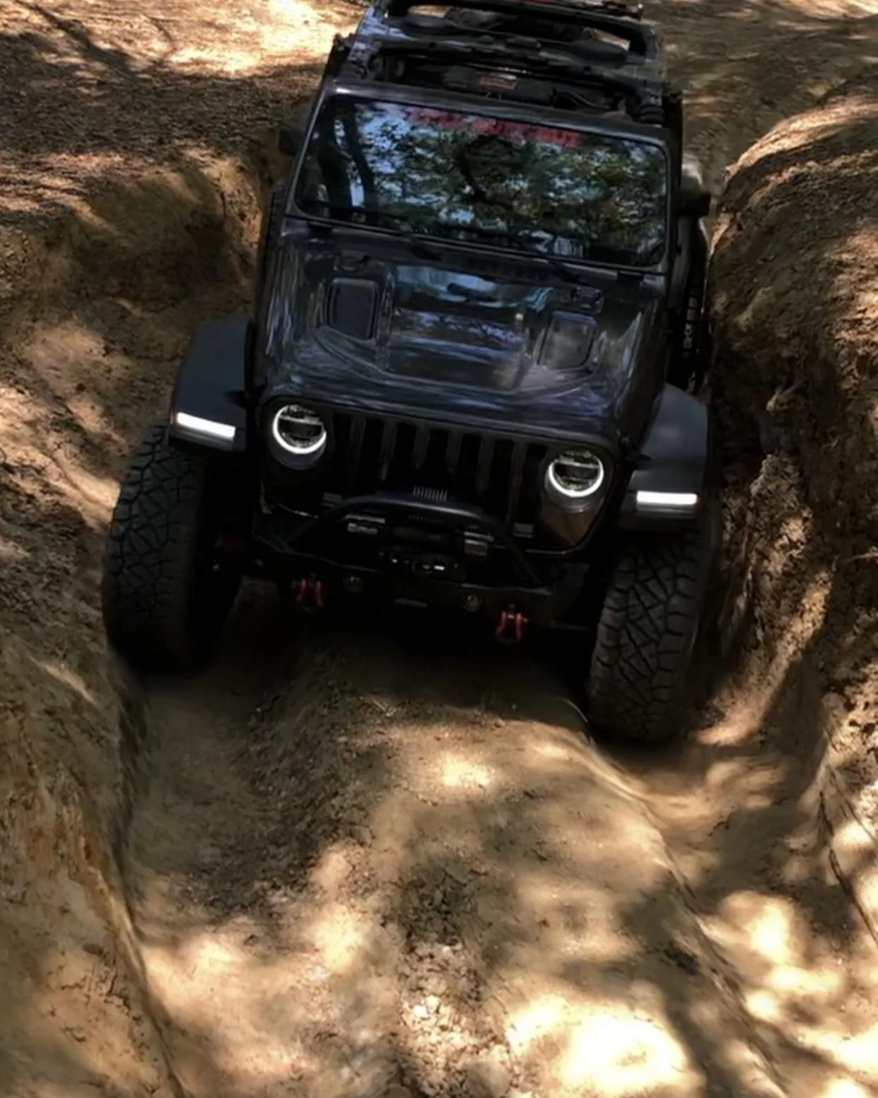 Jeep Wrangler JL Florida Roll Call! 88B79455-B511-406A-A1D2-74A3C3F909CC