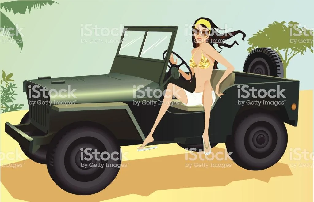 Jeep Wrangler JL Bikini under Hard Top upload_2020-4-20_21-55-22