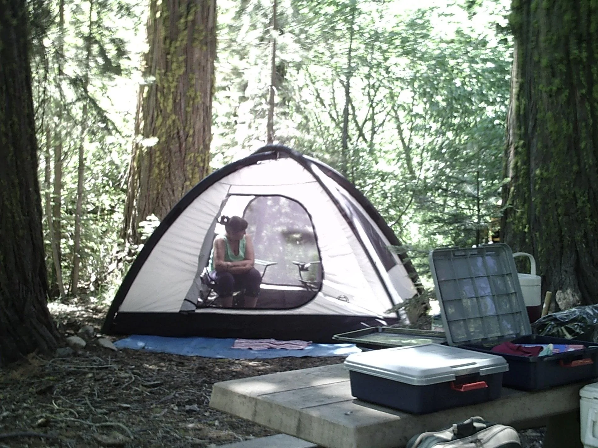 Jeep Wrangler JL Off-Road Camping Trailers SUNP0060