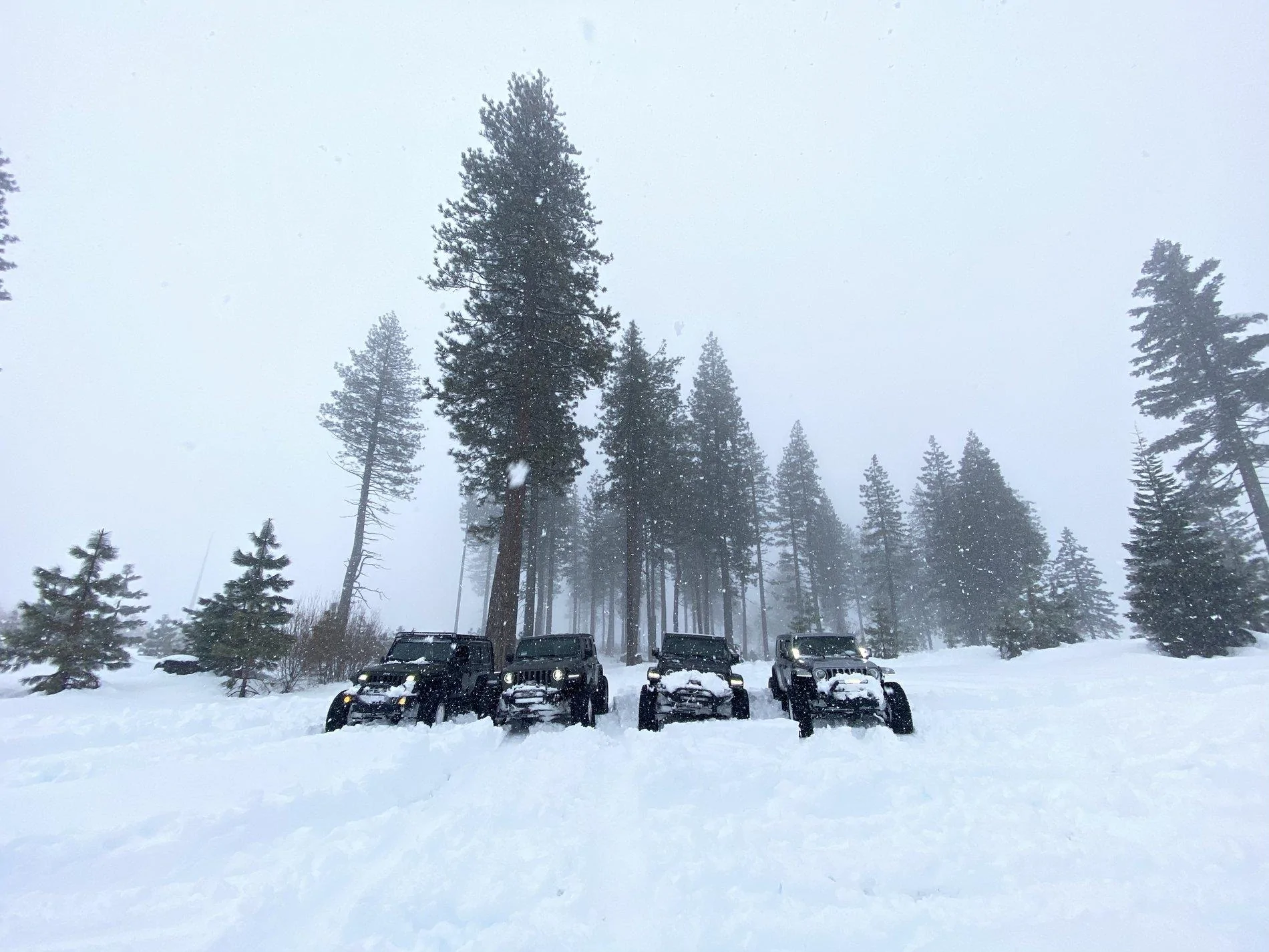 Jeep Wrangler JL Jeeps in Snow... post pics. 55685A35-0361-45DB-8D24-72D5C35E79E3