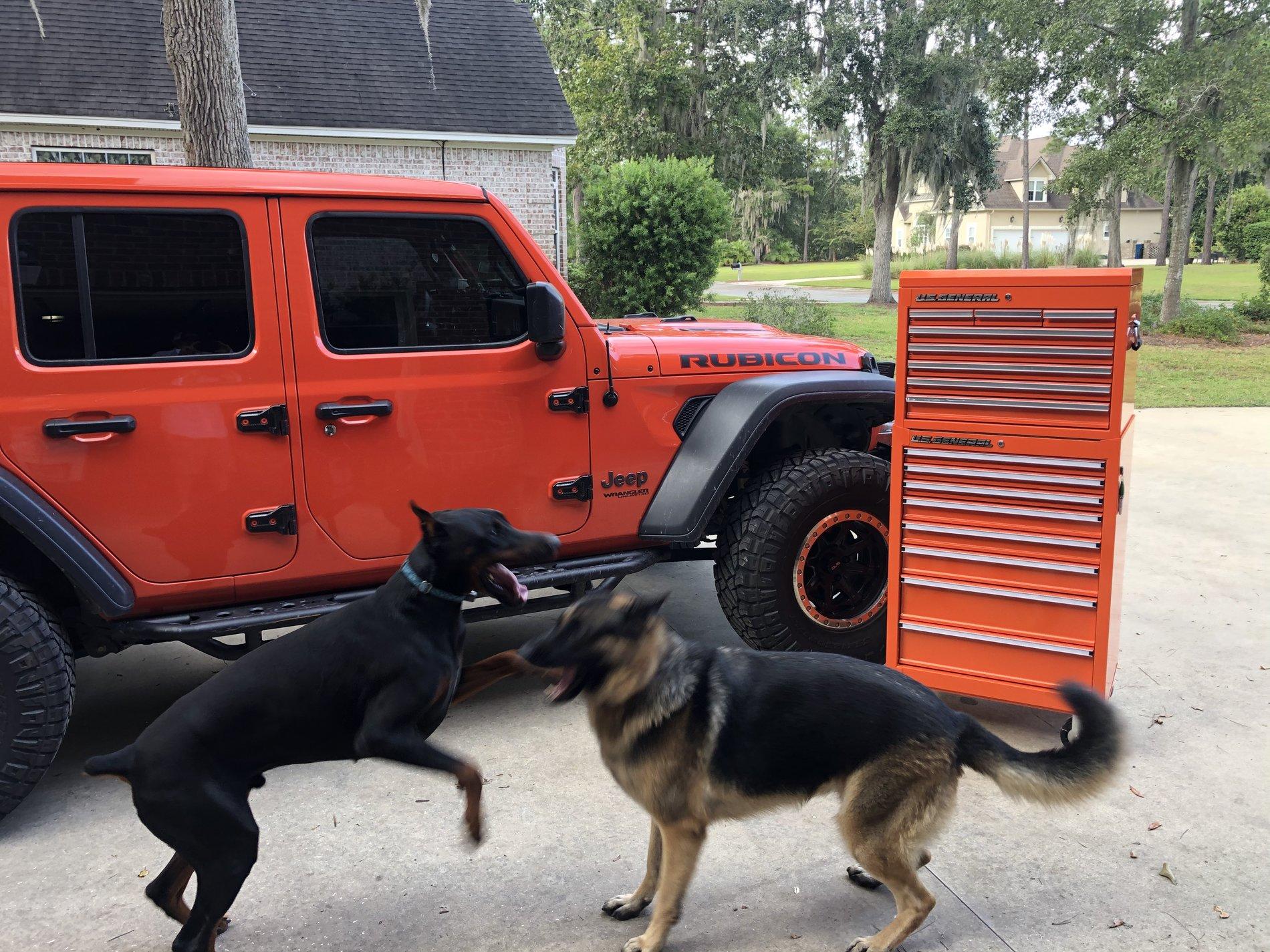 Jeep Wrangler JL Jeeps and Dobermans 90B861B7-7770-4BFB-99A0-5731D202E1C9