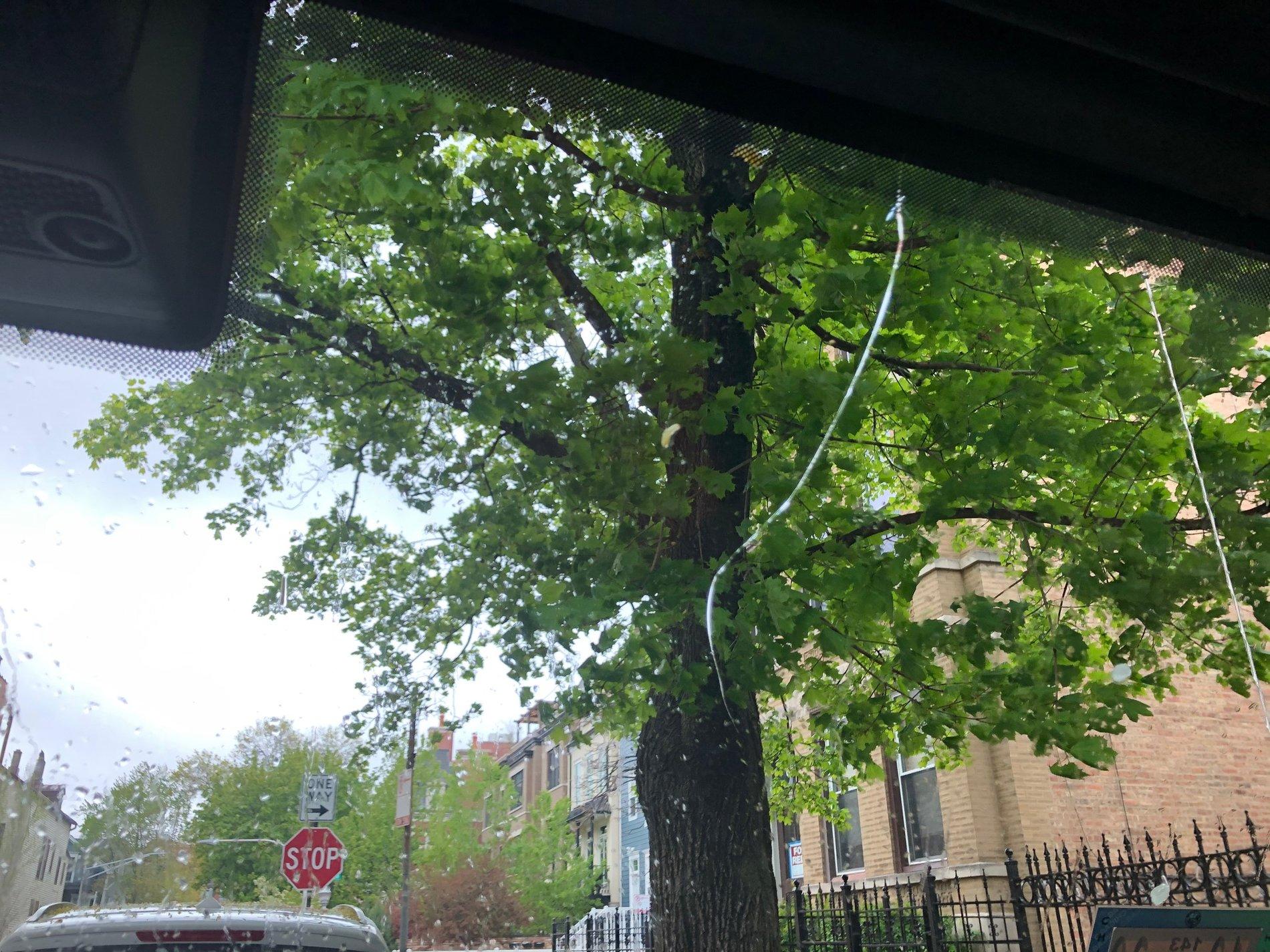 Jeep Wrangler JL Cracked Windshield Club IMG_8056