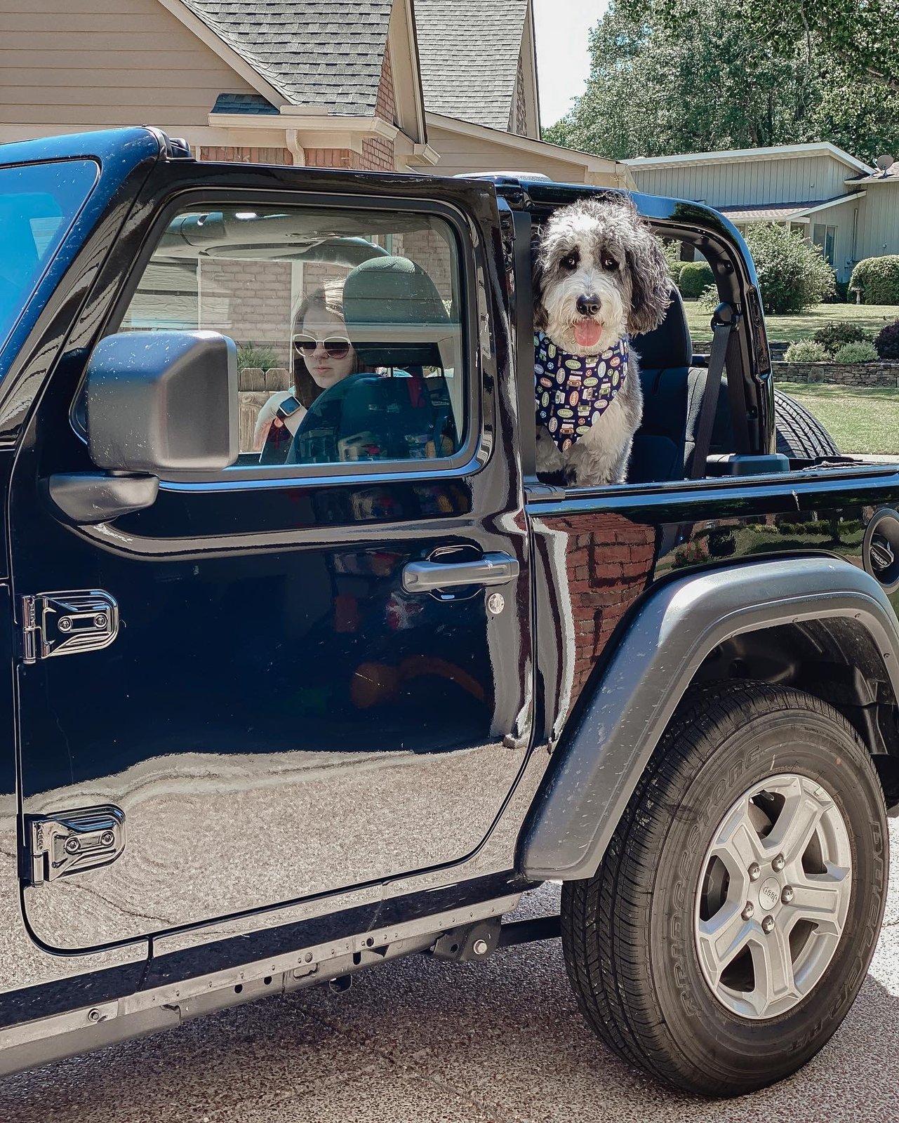 Jeep Wrangler JL Jeep Dog pics 2ED88075-6B6E-4590-AA4B-076A9630B8F6