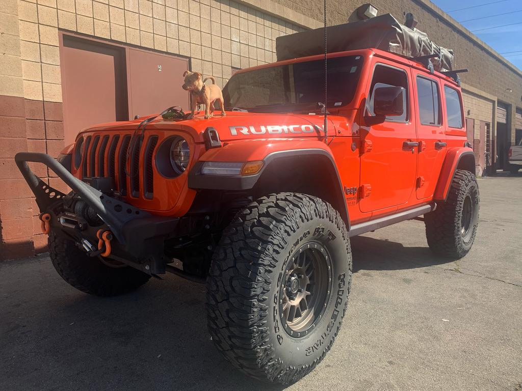 Jeep Wrangler JL Jeep Dog pics 293E110A-0BD0-4343-B8F2-496486B0F634_1_105_c