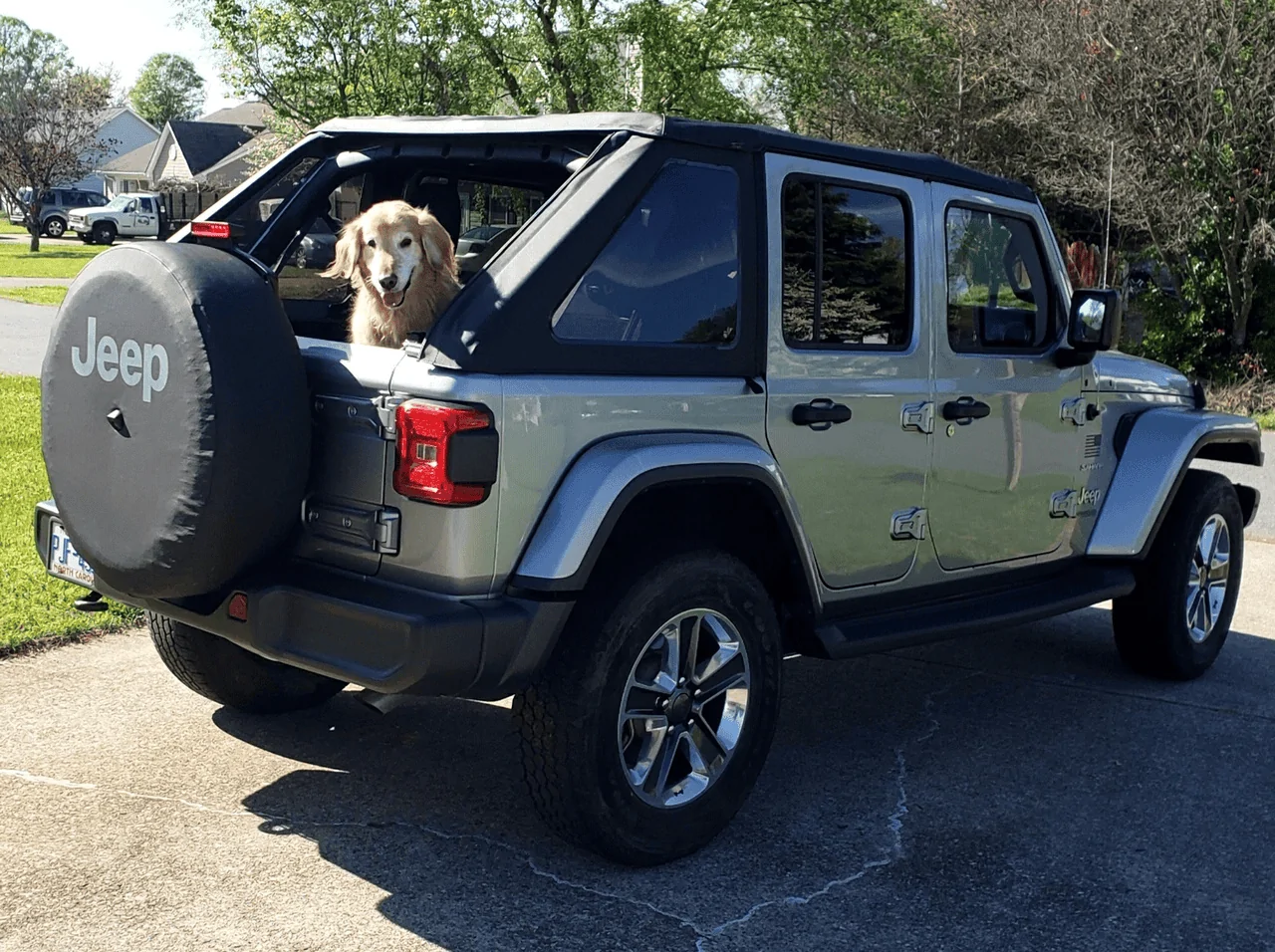 Jeep Wrangler JL Jeep Dog pics 1589466390478