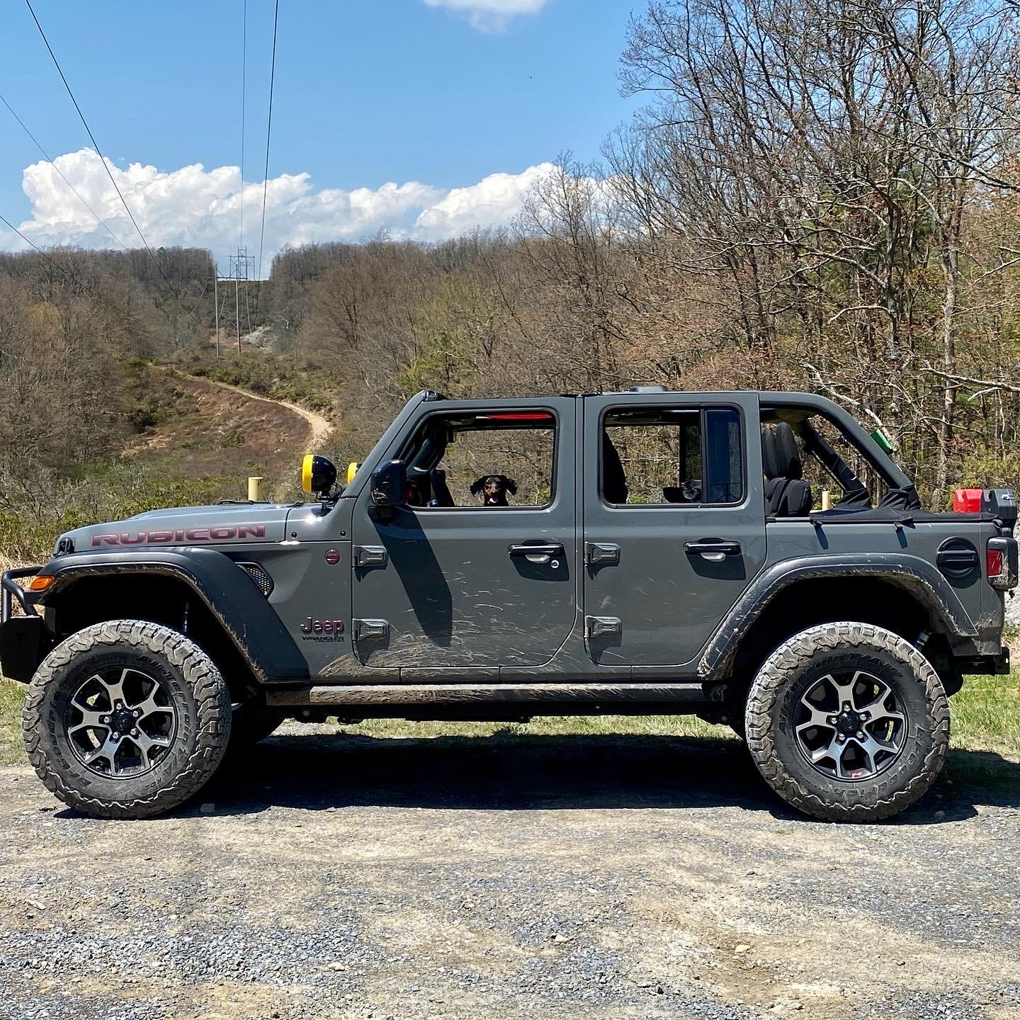 Jeep Wrangler JL Jeep dogs in quarantine. 22C9C718-B0FD-43EE-BECD-583944124B8D