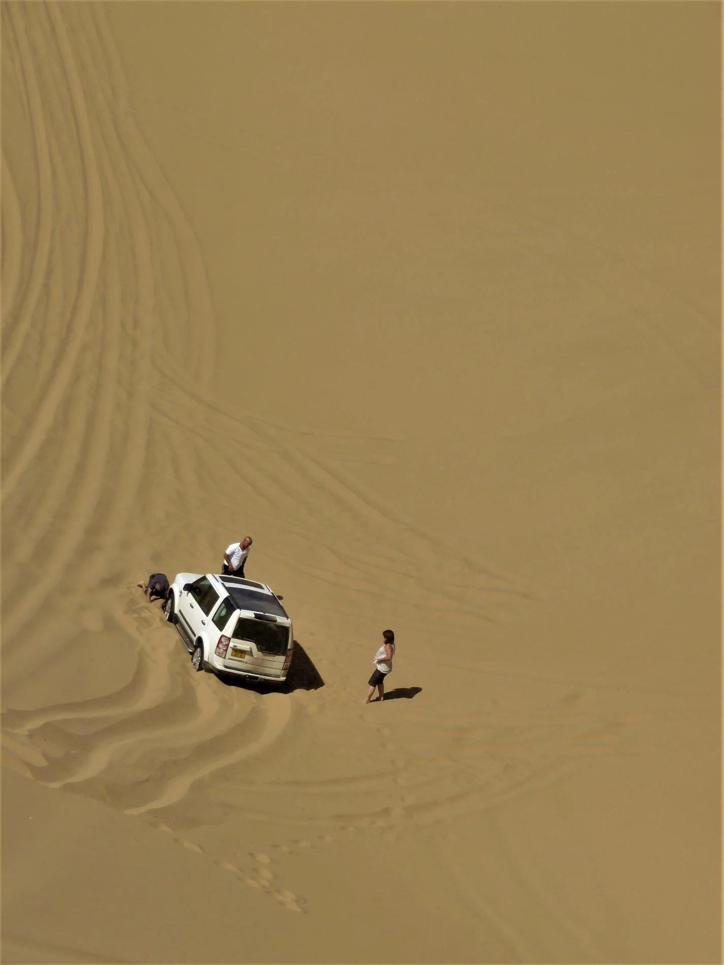 Namib 3.webp