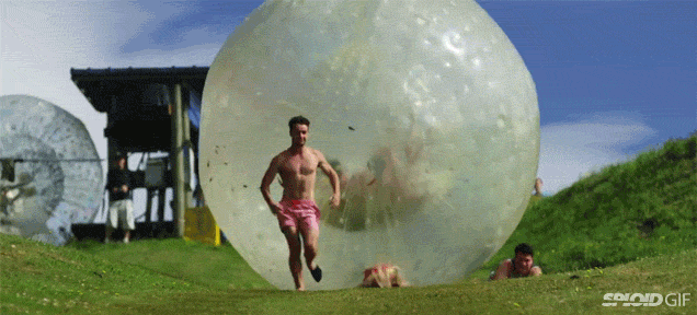 giphy.gif