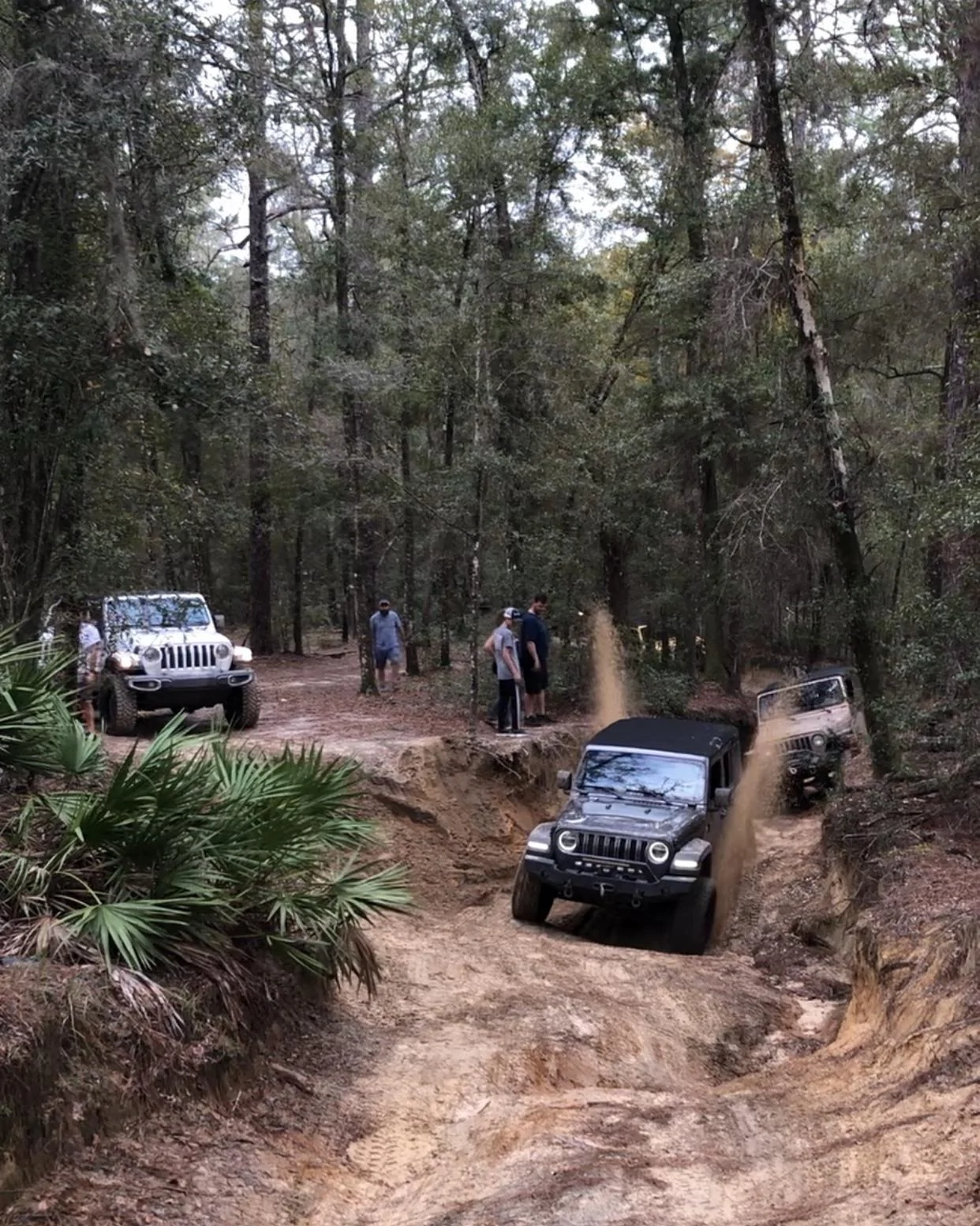 Jeep Wrangler JL Florida Roll Call! 23C303DD-DE22-454F-869A-C8F84588BB69